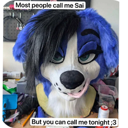 Saiiiiistickers 154881599.webp
