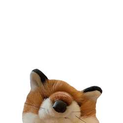 Flipymotes 154881853.webp