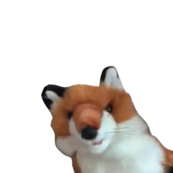 Flipymotes 154881852.webp