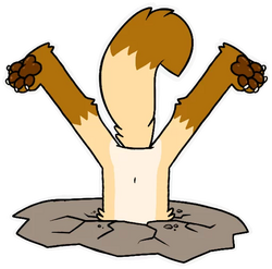 Flipymotes 154881847.webp