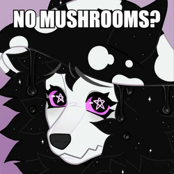 Lucithemushroom 154882164.webp
